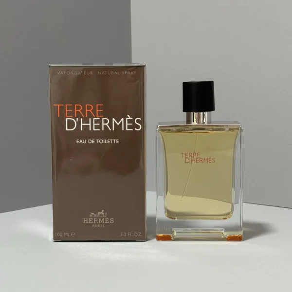 Hermes Terre d'Hermes Men's Eau de Toilette 100ml