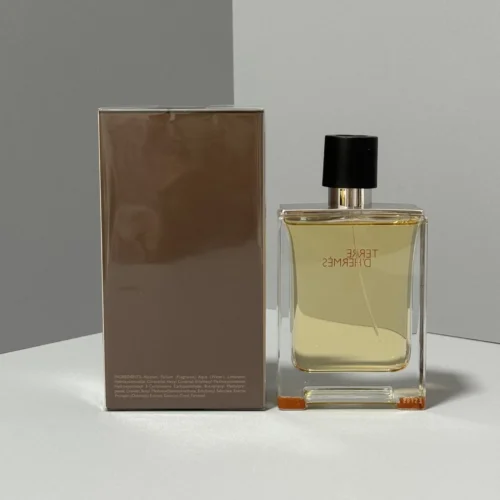 Hermes Terre d'Hermes Men's Eau de Toilette 100ml