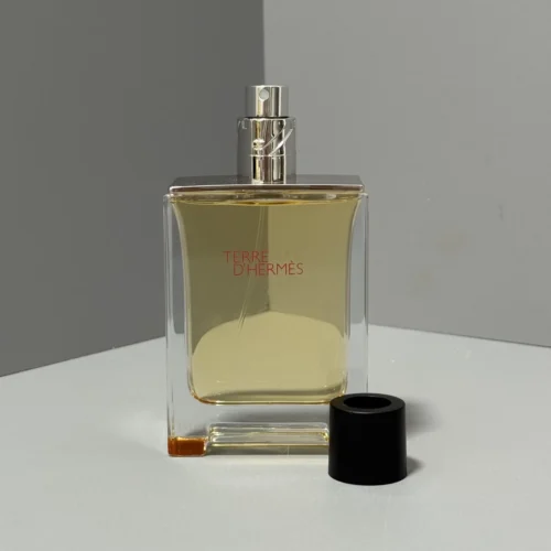Hermes Terre d'Hermes Men's Eau de Toilette 100ml