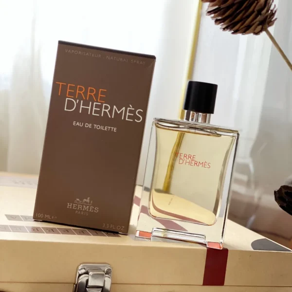 Hermes Terre d'Hermes Men's Eau de Toilette 100ml
