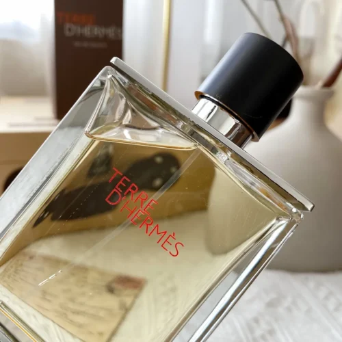 Hermes Terre d'Hermes Men's Eau de Toilette 100ml