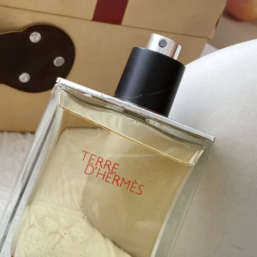 Hermes Terre d'Hermes Men's Eau de Toilette 100ml
