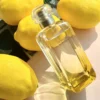 Hermes Le Jardin de Monsieur Li Unisex Fragrance 100ml