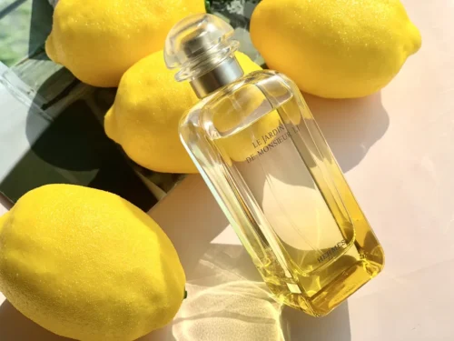 Hermes Le Jardin de Monsieur Li Unisex Fragrance 100ml