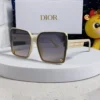 Dior Polarized Sunglasses