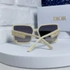 Dior Polarized Sunglasses