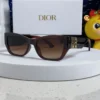 Dior Miss Dior S1F Thick-Frame Sunglasses