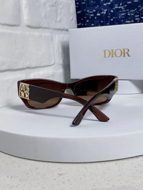 Dior Miss Dior S1F Thick-Frame Sunglasses