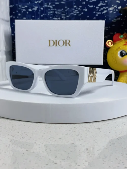 Dior Miss Dior S1F Thick-Frame Sunglasses