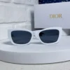 Dior Miss Dior S1F Thick-Frame Sunglasses