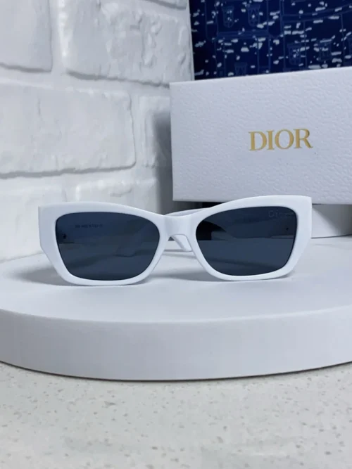 Dior Miss Dior S1F Thick-Frame Sunglasses