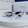 Dior Miss Dior S1F Thick-Frame Sunglasses