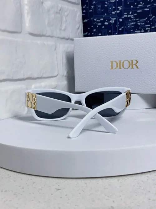Dior Miss Dior S1F Thick-Frame Sunglasses
