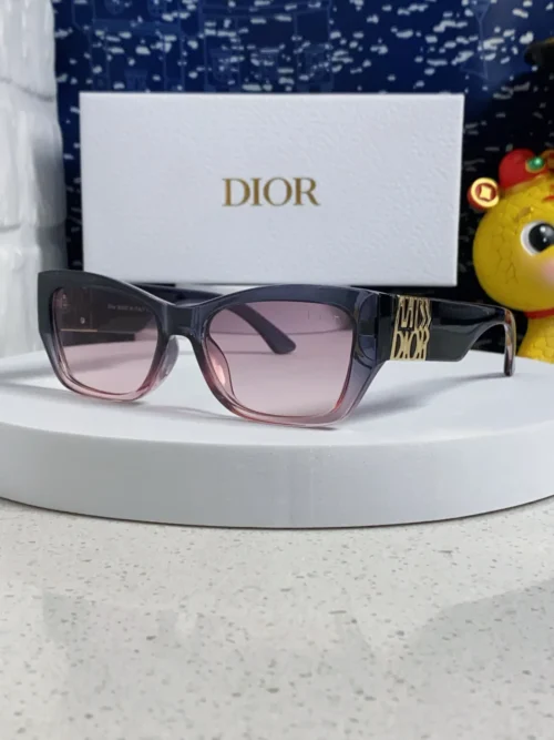 Dior Miss Dior S1F Thick-Frame Sunglasses