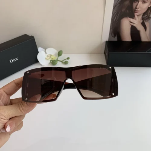 Dior Shield Sunglasses
