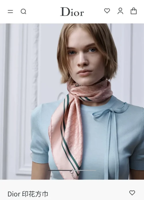 Dior Double-Sided Scarf