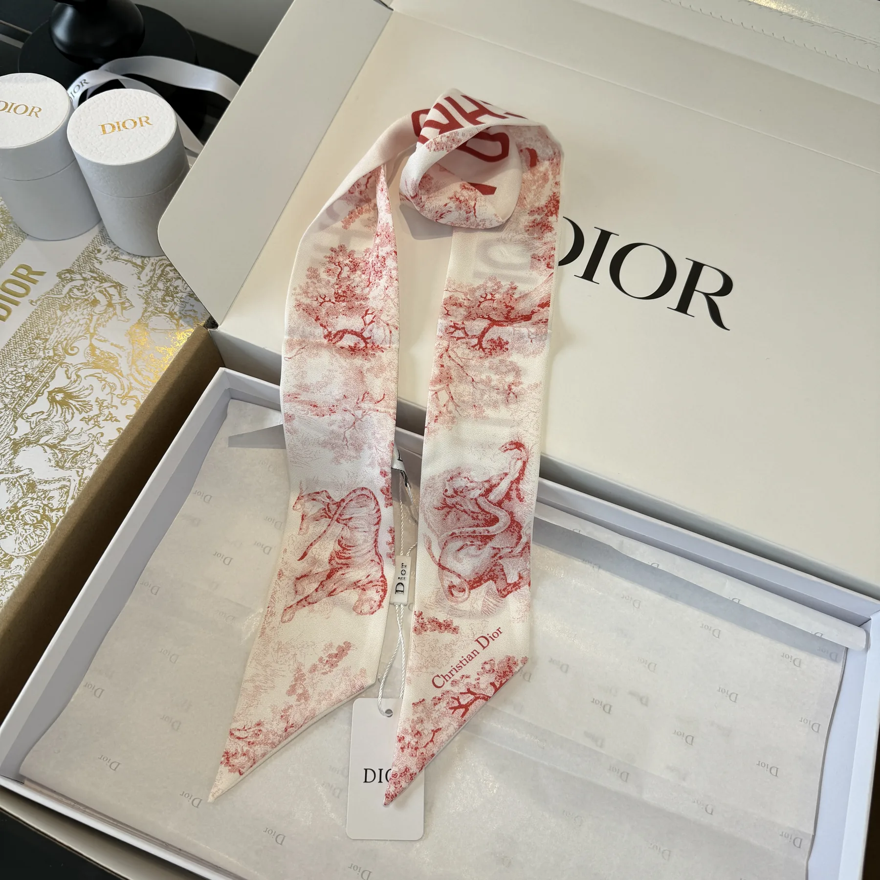 Dior Double-Layer Silk Ribbon Scarf with Animal Print - 6 x 105 - Ref. SCDIOR0113